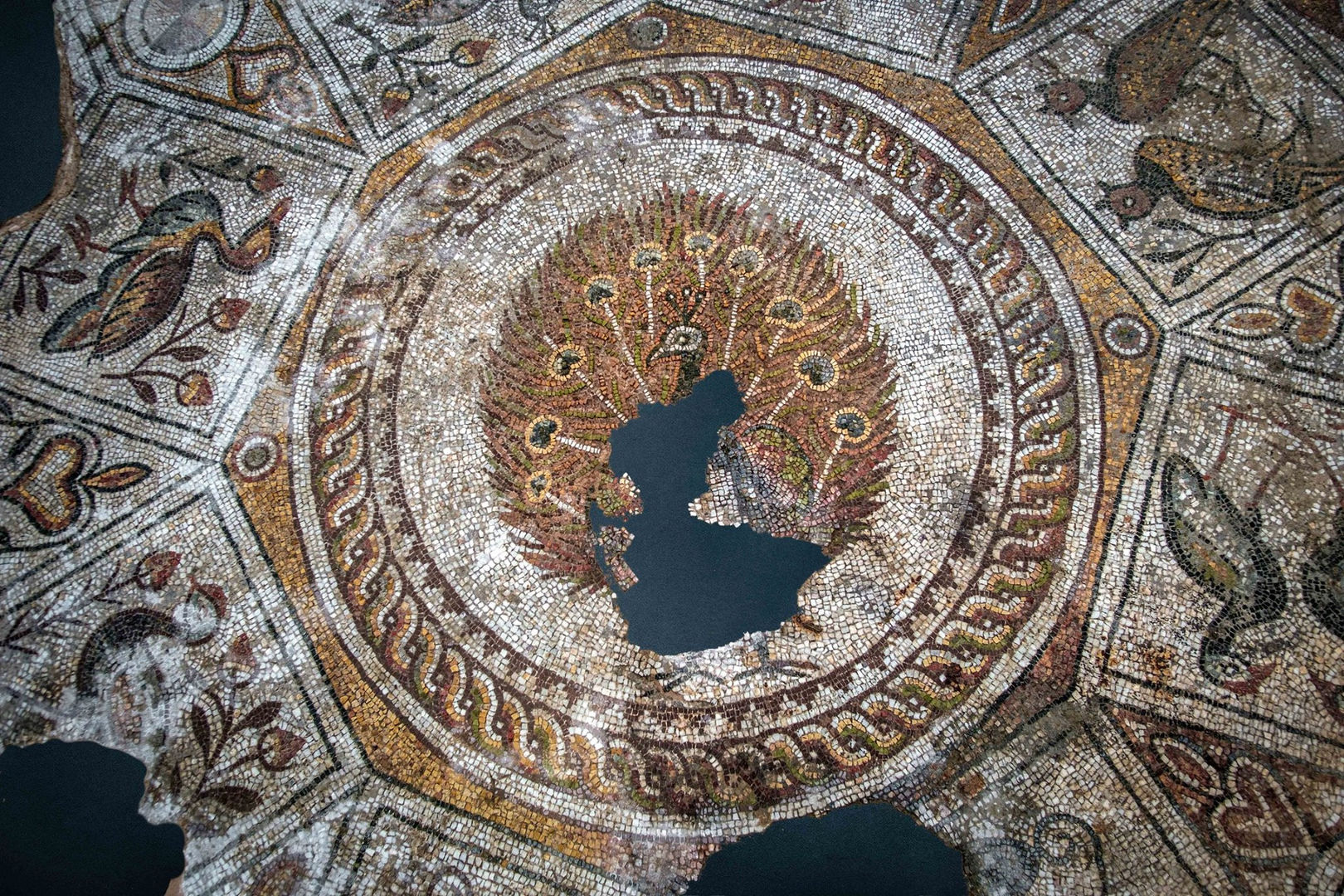The-Bishop-Basilica-Plovdiv-project-ligna-group_02